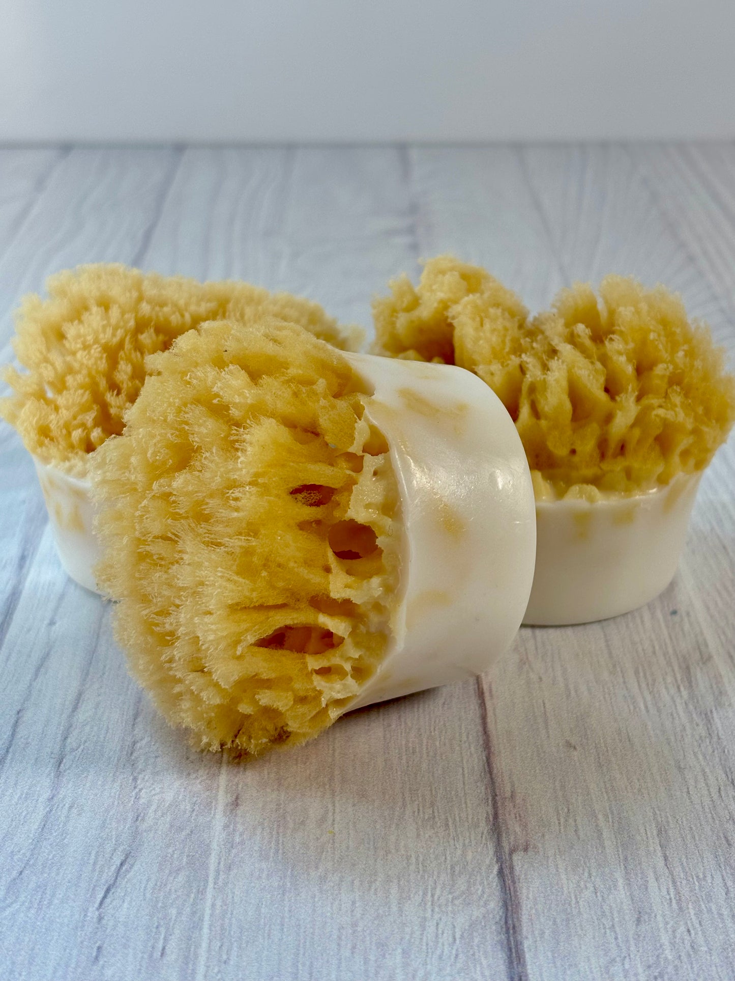 Natural Sea Sponge Soap Ocean Shores