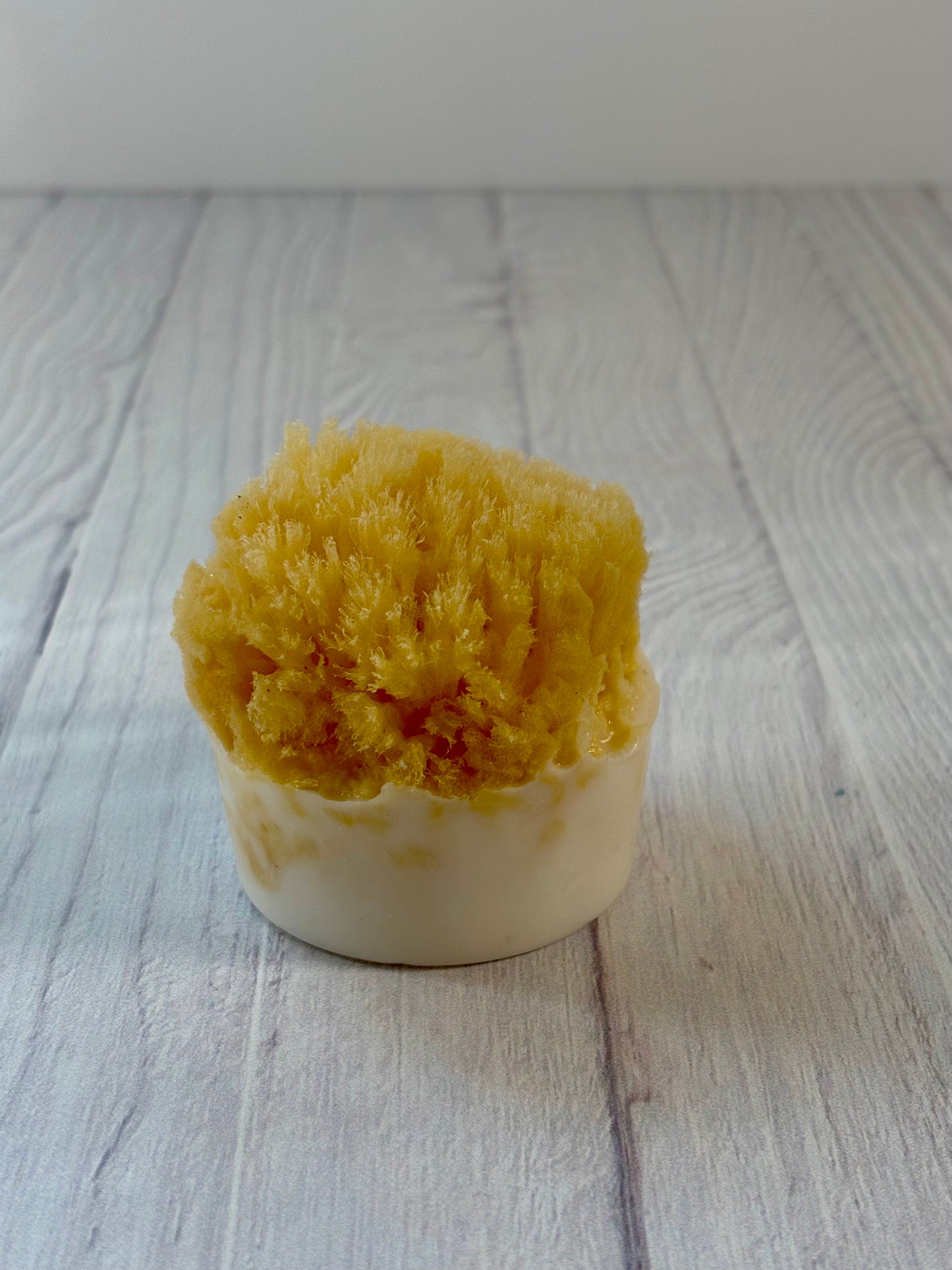 Natural Sea Sponge Soap Ocean Shores
