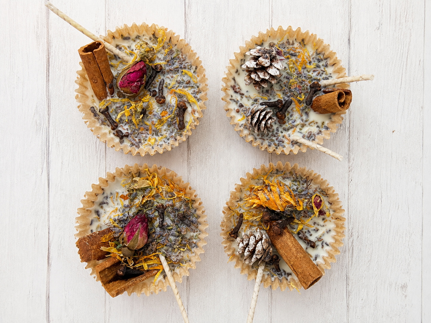 BOTANICAL WAX FIRE STARTERS
