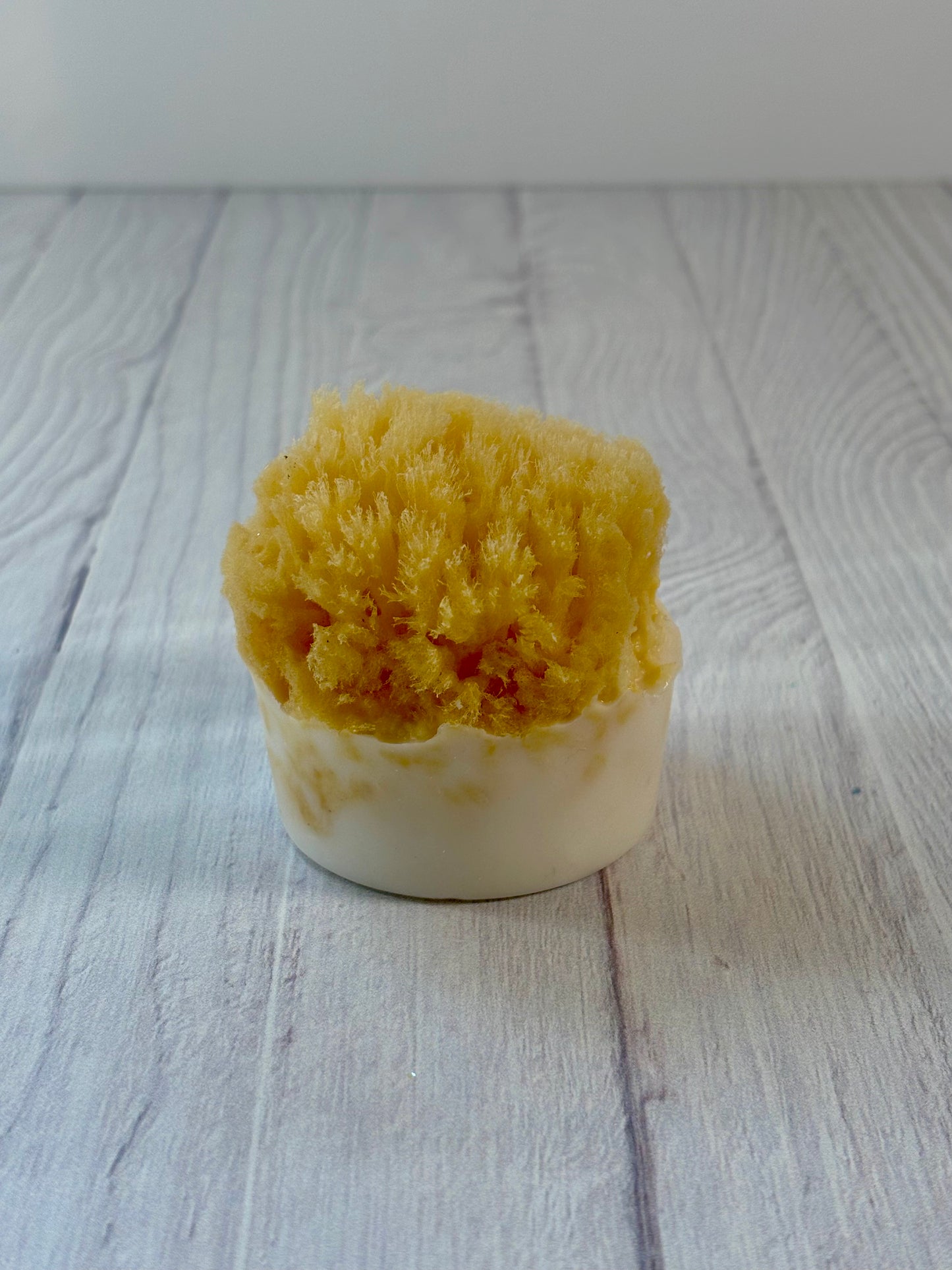 Natural Sea Sponge Soap Ocean Shores