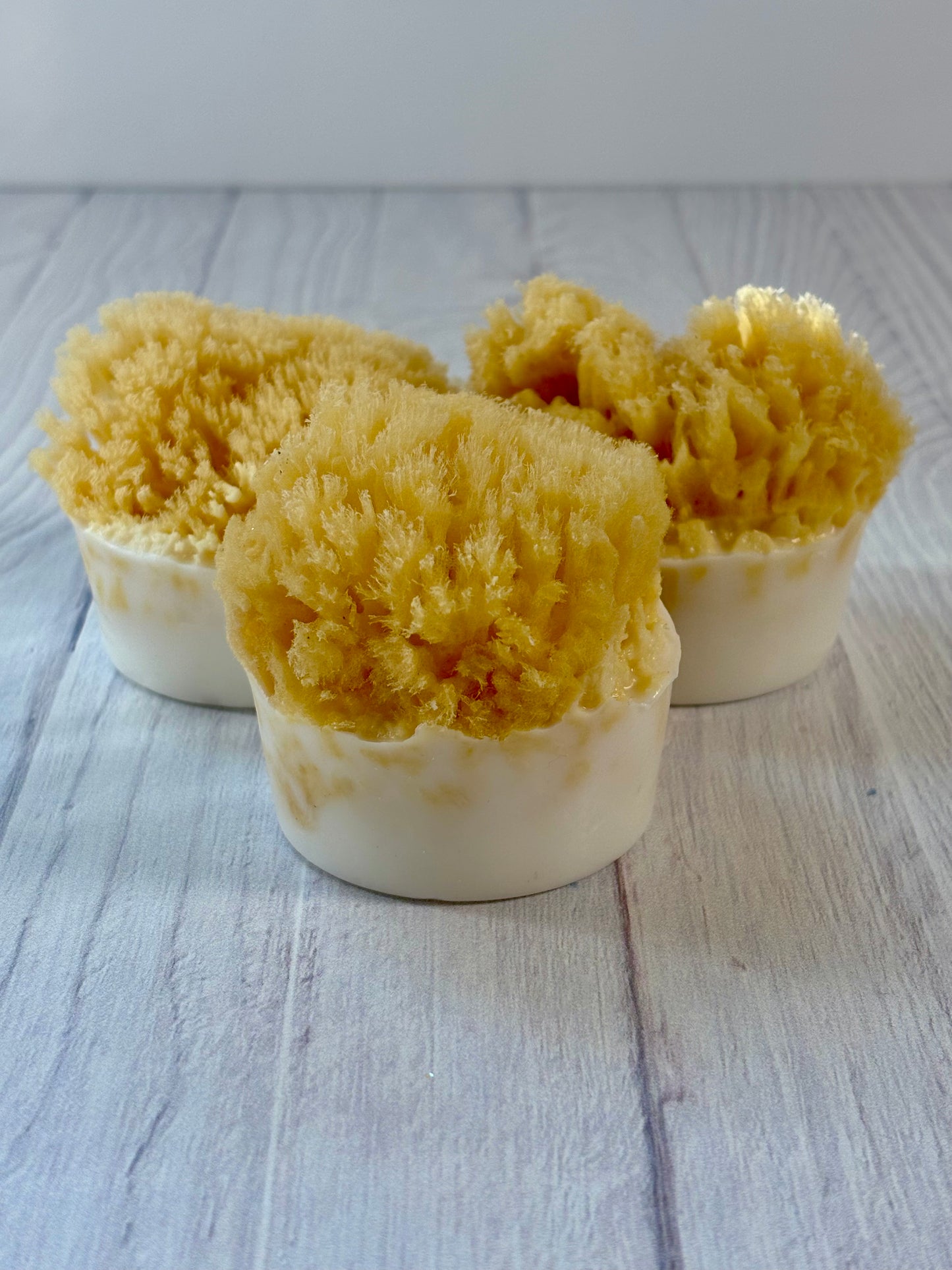 Natural Sea Sponge Soap Ocean Shores