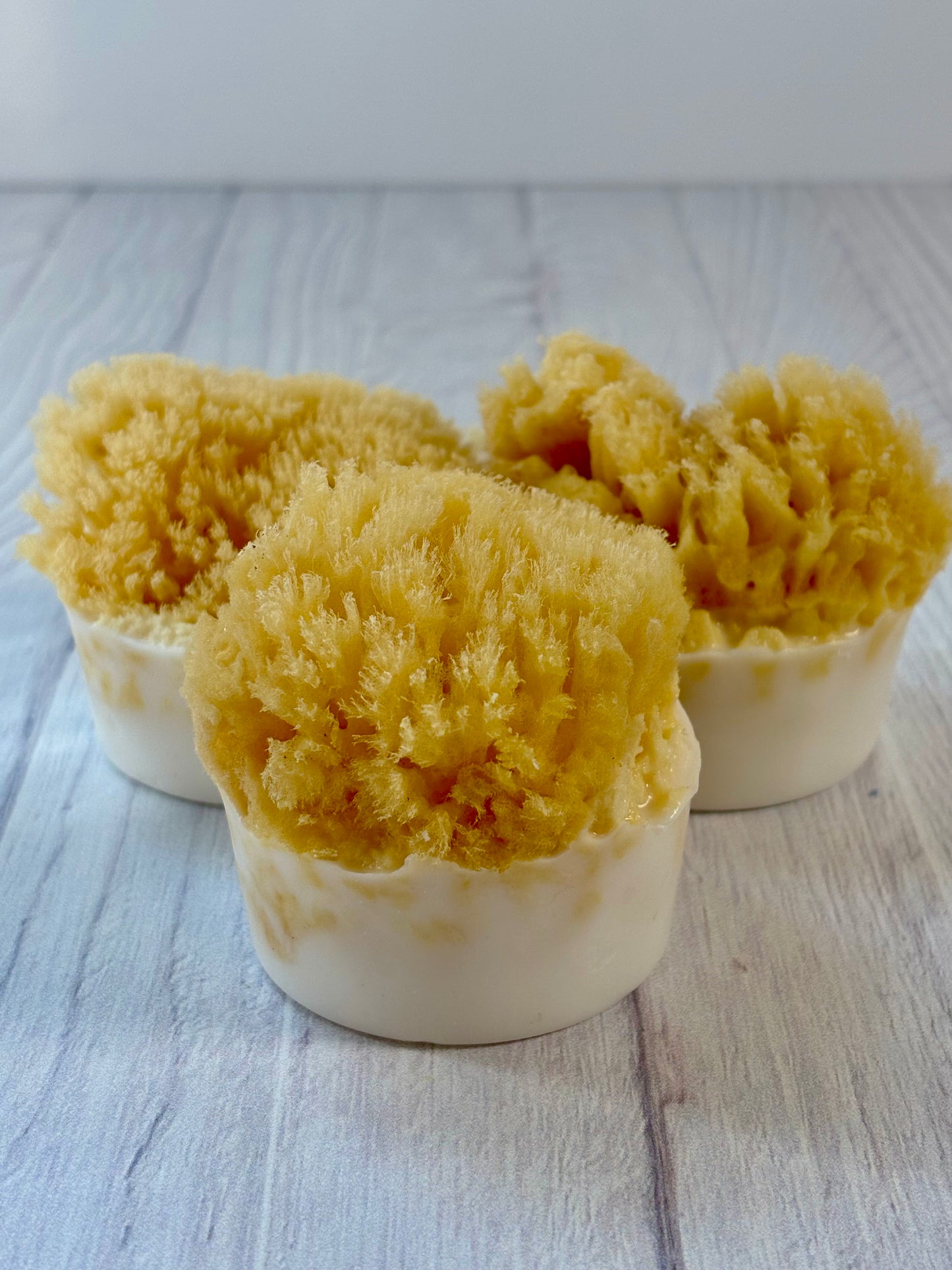 Natural Sea Sponge Soap Ocean Shores