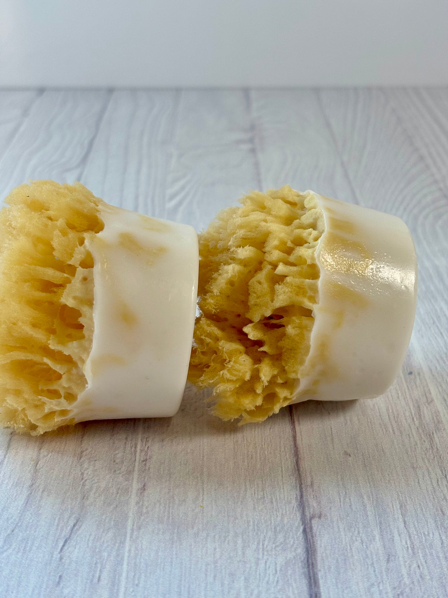 Natural Sea Sponge Soap Ocean Shores